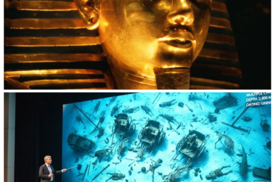 Divers Found Pharaoh’s Army Beneath the Red Sea — The Discovery Left Egyptologists Frozen!