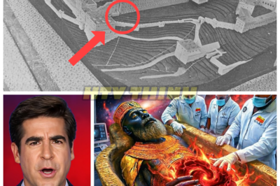 King Solomon’s Tomb Opened After 5,000 Years—What Was Uncovered Will Terrify You! 👑💥 After 5,000 years of mystery, King Solomon’s tomb has finally been opened, and what experts discovered inside is more horrifying than anyone could have imagined. The relics, the secrets, and the ominous warning found within these ancient walls could change everything we thought we knew about Solomon’s legacy. This is a revelation the world isn’t prepared for! 👇