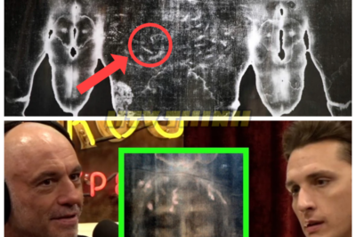 The Shroud of Turin, Giants, and Other Unsolved Mysteries of the Bible—What They’re Hiding Will Shock You! 📜💥 The Bible is full of unanswered questions, but the mysteries of the Shroud of Turin, the ancient giants, and other biblical secrets are enough to shake the foundations of history. What if everything we’ve been taught about these stories is wrong? From mysterious artifacts to ancient giants hiding in plain sight, the truth could be far darker than we ever imagined. Get ready for a revelation that will change everything! 👇