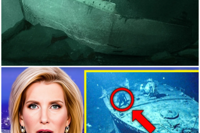 “TERRIFYING DISCOVERY NEAR THE EDMUND FITZGERALD! Drone Captures Something NEVER Before Seen!” No one expected the dive to change everything we thought we knew about the deep, but when the underwater drone — equipped with high‑definition imaging and sub‑zero pressure resistance — descended toward the SS Edmund Fitzgerald, it didn’t just reveal a wreck; it uncovered a phenomenon so shocking that experts are calling it the greatest underwater mystery of the century, as the footage began with the ship’s familiar, haunting silhouette but rapidly morphed into something profoundly disturbing: strange glowing tendrils seemed to coil around the hull like living chains, pulsing with bio‑luminescent energy that defied any known organism; then, as the drone plunged deeper beneath the wreck, the atmospheric pressure readings spiked and the feed distorted into what looked like synchronized rippling patterns — almost like biological circuitry — embedded into the lakebed itself, generating an energy field that resembled a hive network, sparking intense debate whether this could be a deep‑water hive of unknown creatures or an ancient, submerged structure lying dormant for centuries; as researchers watched in disbelief, the drone’s sonar ping returned echoes that weren’t consistent with metal or rock, suggesting hollow spaces beneath the wreck where whatever is down there doesn’t just exist, it moves, almost as if it were responding to the drone’s presence — and when a sudden burst of electric charge hit the drone’s sensors, the feed cut out abruptly, leaving only a lingering image of what appeared to be a massive, unidentifiable shape looming behind the Fitzgerald’s bow; diving teams have since been shaken, instruments recalibrated, and governments alerted, but now the world is left with one terrifying question: what is dwelling beneath the ocean’s surface, hidden for decades, waiting for something to disturb it? 👇