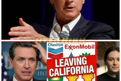 California Governor Under Fire as Major Oil Companies Flee the State—A Financial Crisis is Brewing! ⛽💥 California’s energy sector is in turmoil as major oil companies announce their exit from the state, and Governor Newsom is facing intense criticism. With thousands of jobs at risk and the state’s economy reeling, what does this corporate exodus mean for California’s future? The Governor is under fire—can he salvage the situation before the state spirals into an energy disaster? The stakes have never been higher! 👇