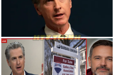 Governor of California in Deep Trouble as San Jose Housing Market COLLAPSES in Real-Time—The Fallout Is Massive! 🏚️💥 The Governor of California is facing severe backlash after the housing market in San Jose—one of the state’s most prominent cities—collapsed in real-time, sending shockwaves through the economy. With home prices plummeting and real estate businesses reeling, Governor Newsom’s leadership is under intense scrutiny. What caused this sudden collapse, and can the Governor save the state from further financial devastation? The crisis is unfolding fast, and the answers are more urgent than ever! 👇