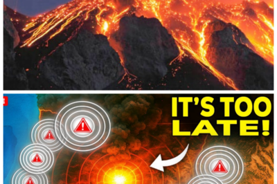 “Oregon’s Volcanic Awakening: Are We All in Danger? 🌍” “Looks like the ground has a mind of its own—who knew?” In an earth-shattering discovery that has left scientists and locals alike in shock, magma is rising beneath Oregon’s surface, stirring up fears of a volcanic eruption that could change everything! With experts racing against time to understand this geological upheaval, one local exclaimed, “I thought we were living in a safe zone—turns out, we’re on a ticking time bomb!” As the drama unfolds, the question remains: will Oregon’s beauty turn into a fiery nightmare? The tension is palpable, and the stakes couldn’t be higher! 👇