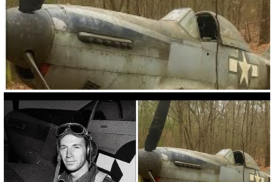Fighter Pilot Vanished in 1943 — 60 Years Later, His Rusted Plane Was Found in a Forest…