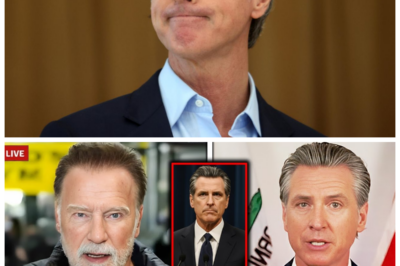 🐶 Gavin Newsom FLIPS OUT After Arnold Schwarzenegger’s SHOCKING Confrontation on LIVE TV! In a jaw-dropping moment that has left viewers stunned, California Governor Gavin Newsom lost his cool when action star-turned-politician Arnold Schwarzenegger confronted him on live television! As tensions soared, Newsom’s calm facade shattered, revealing a side of him few have ever witnessed. What explosive accusations did Schwarzenegger hurl that sent Newsom into a frenzy? As the drama unfolded on screen, the implications of this fiery exchange could reshape California politics forever! The fallout is sure to be sensational! 👇