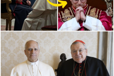Cardinal Burke Speaks Out After the Election of Leo XIV REVEALS ALL!