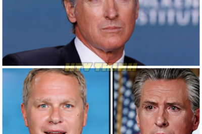 🚨 Walmart CEO FINALLY BREAKS SILENCE After Fleeing California — The SHOCKING Response to the Governor That Will Change Everything 🛒💥 After months of speculation, the Walmart CEO has finally responded to the California Governor’s fury over the company’s decision to leave the state. The response isn’t just a corporate statement—it’s a bold move that could send shockwaves through California’s economy. What did the CEO say, and why is this a game-changer for both Walmart and the Golden State? 👇