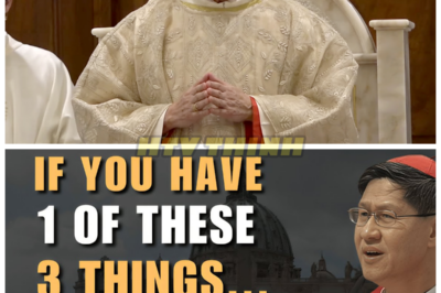 🚨 Cardinal Tagle’s SHOCKING Message: 3 Signs God Has Already BLESSED YOU — Are You Missing the Miracles Around You? ✝️💥 In a powerful and unexpected message, Cardinal Tagle reveals the 3 undeniable signs that God has already blessed you, and the truth may leave you speechless. From subtle divine whispers to undeniable moments of grace, these signs are often overlooked—but once you see them, your life will never be the same. Are you ready for your eyes to be opened? 👇