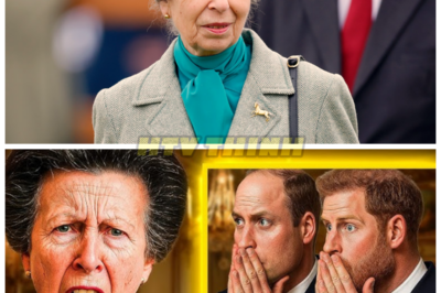 🚨 At 74, Princess Anne SHOCKS the World by Revealing the King’s FINAL WISH — William and Harry Left STUNNED 💥👑 In an unexpected revelation, Princess Anne has shared the late king’s final wish, leaving both William and Harry in utter shock. The royal family is now facing a storm of emotions, and what Anne disclosed will forever alter the dynamics of the monarchy. What did the king truly want in his last moments, and how will it affect the future of the royal family? 👇