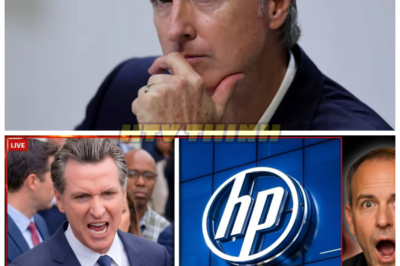 🚨 California Governor UNDER PRESSURE as HP FLEES Silicon Valley for Texas — The Tech Exodus That’s Shaking the State’s Future 💻💥 In a shocking twist, HP has pulled up stakes and left Silicon Valley, moving its operations to Texas. The Governor is under fire as the Golden State loses yet another tech giant. What’s behind this mass exodus, and what will it mean for California’s future as the heart of innovation? The tech world is in crisis, and California is feeling the heat. 👇