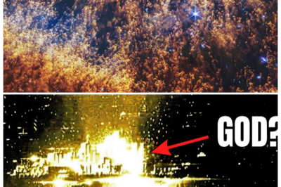 🐘 “Family Feud: The Shocking Truth Behind the Celebrity Clan’s Explosive Rift! 🔥” “Behind every glamorous facade lies a family drama that could rival any soap opera!” In a shocking exposé, the famous family known for their lavish lifestyle and public appearances is torn apart by betrayal and greed. As siblings turn against each other in a fierce battle for inheritance and fame, dark secrets are unearthed that could change everything. With accusations flying and alliances crumbling, will this family ever be able to mend their broken bonds, or is this the final chapter in their storied legacy? 👇