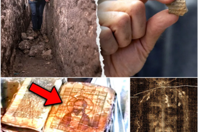 Jerusalem’s Silent Discovery: The Sealed Cave Opened in Secret—and the Questions Officials Won’t Answer