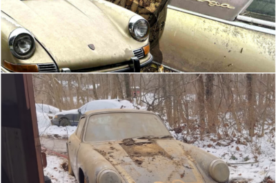 Decades-Old Porsche 912 Barn Find Emerges After 30 Years – Restoration Magic Begins in California