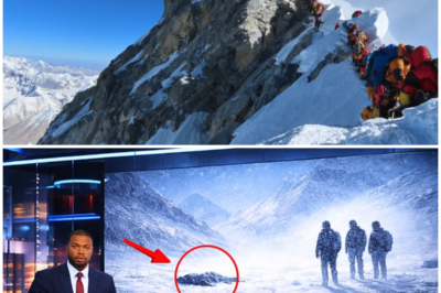 “Everest Exposed: Melting Ice Reveals Chilling Truths! Are We Ignoring the Warnings of the Past?” As the ice melts away, Mount Everest is shedding its skin, revealing a terrifying narrative of ambition gone wrong! What started as a quest for glory has turned into a nightmare as climbers encounter ghostly apparitions and hear the desperate cries of those who came before them. This isn’t just a mountain; it’s a living entity, a keeper of secrets that warns us against our hubris. With each step taken on its slopes, climbers are confronted with the chilling reality of their choices. Are we ignoring the signs, or are we destined to repeat the tragic mistakes of those who sought to conquer the unconquerable? The answers may haunt us forever! 👇