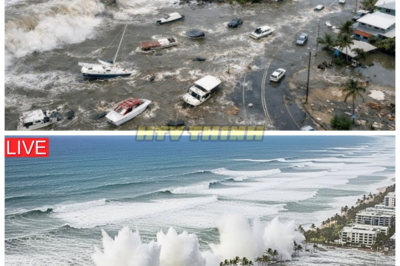 CYCLONE KOJI ERUPTS ACROSS QUEENSLAND — MASSIVE WAVES SMASH COAST, RAPID FLOODING WITHOUT WARNING 😱🌊👇 In a sudden and terrifying twist of nature, Cyclone Koji has exploded in intensity over Queensland, catching residents and forecasters off guard as enormous ocean swells barrel onto the shorelines, smashing through coastal defenses and sending walls of water rushing inland faster than anyone expected.👇