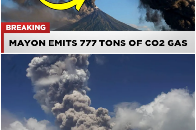 😱 Is Mayon Volcano the New Face of Atmospheric Catastrophe? Discover the Startling Truth Behind Its 777 Tons of Toxic Gas! 😱 – HTT