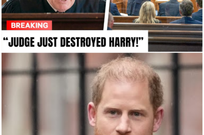 Judge SILENCES Prince Harry After ROYAL Meltdown He SCREAMS I Can’t Lose!