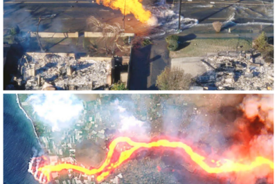 “San Andreas Fault: The Crack That Could Cause a Historic Tsunami! 🌍” “Looks like the ground beneath us might be hiding a deadly secret!” In an alarming update, researchers warn that the San Andreas Fault crack is on the brink of unleashing the largest tsunami ever recorded! Recent geological studies indicate that a significant earthquake could send towering waves crashing into the coast, potentially impacting millions. “This is a wake-up call for everyone living in coastal areas,” a seismologist stated, highlighting the urgent need for preparedness. As the threat looms, how will communities respond? The tension is mounting! 👇