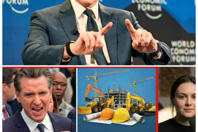 🐘 “Unfolding Disaster: Governor’s Authority Erodes as Construction Firms Flee California! 🔥”  As construction companies initiate a mass exodus from California, the governor finds himself in a precarious position, struggling to maintain order amidst the chaos! “When the backbone of infrastructure starts to vanish, who will step in to fill the gaps?” Will he be able to turn the tide, or will this crisis mark the beginning of the end for his administration? 👇