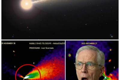 🐘 “COSMIC MYSTERY: 17 Hubble Images of 3I/ATLAS Show It’s DIFFERENT from Other Comets! 📖” “Recent Hubble images have provided new insights into comet 3I/ATLAS, highlighting its distinct characteristics that defy expectations. What do these findings mean for our understanding of comets and their formation? Explore the implications of this groundbreaking research!” “In the vastness of space, every discovery reshapes our knowledge!” 👇
