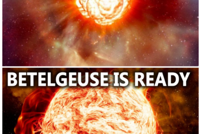🐘 Countdown to Catastrophe: Betelgeuse’s Supernova Could Be Imminent! ⏳ “When the universe prepares for a grand finale!” Betelgeuse is in the spotlight as astronomers monitor its unusual behavior, suggesting that it may be on the verge of a supernova. This event would not only mark the end of the star’s life but also provide invaluable insights into stellar processes and the lifecycle of massive stars. What can we learn from Betelgeuse’s explosion, and how will it change our understanding of the universe? The anticipation is palpable! 👇