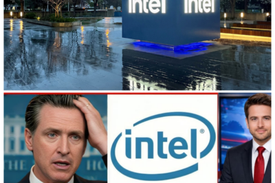 🚨 TECH MELTDOWN: CALIFORNIA GOVERNOR IN SHOCK AS INTEL SLAMS FACTORY DOORS SHUT — SILICON VALLEY GOES DARK OVERNIGHT Thousands escorted out, machines powered down, and suppliers left stranded as one of America’s chip giants abruptly pulls the plug. Lawmakers scramble in emergency meetings while economists warn the closure could ripple through defense, AI, and consumer tech — turning the state’s crown-jewel industry into ground zero for a historic collapse 👇