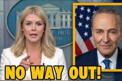 “The Math Doesn’t Lie” — Karoline Exposes Schumer’s Record