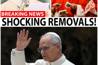 Pope Leo XIV Is Cleaning House — These 6 Cardinals Face REMOVAL…