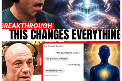 Google’s Quantum AI: It Was Asked Who Built the Universe, Here’s What It Replied…