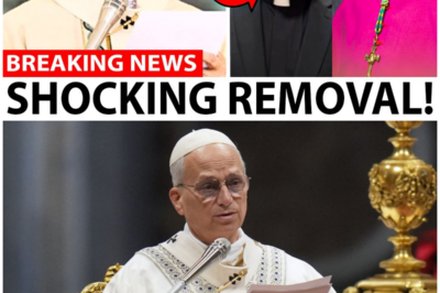 Pope Leo XIV’s LATEST Bishop Removal SHOCKED the Vatican