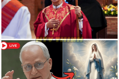 Pope Leo XIV Just SHOCKED the Church: Mary’s Image Changed FOREVER — Catholics Can’t Handle It! 😱⛪👇 Pope Leo XIV has made a move that has sent shockwaves through the Catholic community, and it’s nothing short of scandalous! His bold decision to alter the portrayal of the Virgin Mary has ignited fierce battles within the church, with believers split down the middle. Some are praising his courage, while others are furious, claiming it’s a direct assault on their faith. Is this the dawn of a new era, or will Pope Leo XIV’s radical actions lead to a devastating split? You won’t believe the aftermath!👇