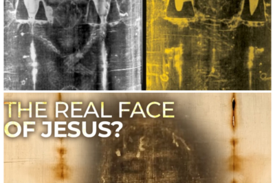 story’s most controversial relic ignites fresh obsession as ancient linen dares science, believers clash with skeptics, and every test result seems to raise louder questions than answers 📜🔥 the narrator leans in, teasing that this cloth doesn’t just survive scrutiny—it weaponizes it, turning labs into battlegrounds and faith into front-page drama 👇