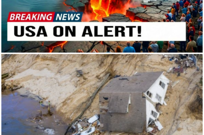 😱 Lake Michigan’s Floor Is CRACKING – And It’s Worse Than Predicted! 😱 – HTT