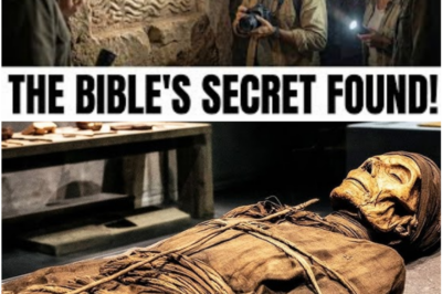 Beneath the World’s Most Sacred Tomb, a Sealed Chamber Emerges—and It Raises More Questions Than Answers