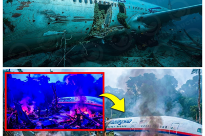 MH370’s Mystery Finally Solved by AI—The Terrifying Truth Behind the Plane’s Disappearance Will SHOCK You ✈️💥 After years of uncertainty, AI has finally cracked the code behind the disappearance of MH370, and the truth it’s uncovered is darker and more chilling than anyone could have imagined. What did AI discover about the plane’s final moments, and why is this revelation so much worse than we ever thought? Get ready for an update that will change everything. 👇