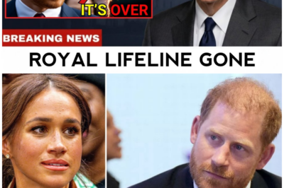 Breaking: Prince Harry’s Royal Lifeline Severed – What This Means for His Future!