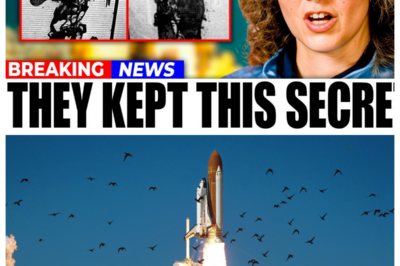 Things You Didn’t Know About The Challenger Disaster That Will Leave You Speechless