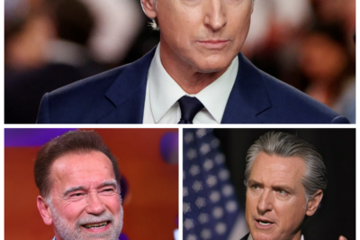 🐶 Bill Maher UNLEASHES HILARIOUS Critique of Democrats’ Strategy: A Live TV Moment for the Ages! Hold onto your seats! In a live broadcast that will be talked about for ages, Bill Maher hilariously tore into the Democrats’ strategy, exposing the flaws with a comedic flair that left audiences gasping for breath! What absurdities did he highlight that could lead to a political disaster? As laughter fills the air, the serious implications of Maher’s words are a stark reminder of the challenges facing the party! 👇