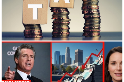 💥 GOLDEN STATE IN CRISIS — CALIFORNIA GOVERNOR PANICS AS BUSINESS TAX REVENUE COLLAPSES OVERNIGHT, LEAVING BUDGET IN SHAMBLES ⚡ The narrator’s voice drips with tension as empty offices, frozen spreadsheets, and frantic aides paint a picture of financial chaos, hinting that what looks like numbers on paper could trigger a statewide economic meltdown 👇
