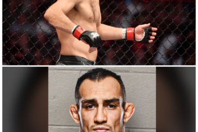 🐘 The 7 Levels of UFC Downfall: From Glory to Grit – A Shocking Journey! 🌪️ “When champions crumble, the world watches in disbelief!” The UFC has seen its fair share of legends rise and fall, but what happens when the very icons of the sport face their own downfall? Dive into the 7 Levels of UFC Downfall, where we explore the harrowing journey from the pinnacle of success to the depths of despair. Each level reveals the challenges, controversies, and personal battles that fighters face, shedding light on the stark realities behind the glitz and glamor of the octagon. What lessons can be learned from these tragic tales? Buckle up for a rollercoaster ride through the most shocking declines in UFC history! 👇