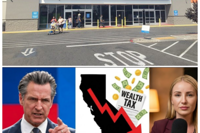 🐘 “Walmart CEO’s Jaw-Dropping Answer to California’s Plea: What It Means for the Future! 🌪️” “Can a single answer hold the key to California’s economic fate?” In a dramatic exchange, the CEO of Walmart has reacted to the state’s urgent request to stay, and his response has left many speechless. As the implications of his words ripple through the community, the stakes have never been higher for both Walmart and California. Will this lead to a breakthrough, or is the retailer preparing to make a bold exit? 👇