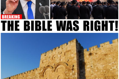 😱 Could the Eastern Gate’s Subtle Changes Signal the Return of Christ? Shocking Evidence Revealed! 😱 – HTT