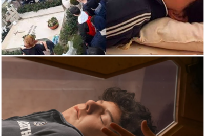 Carlo Acutis: Why Has His Body Been Preserved for 17 Years?