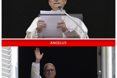 Pope Leo XIV’s Shocking Angelus Prayer: Was He Hinting at a Global Conspiracy? 🛑⛪ Pope Leo XIV’s January 6, 2026, Angelus prayer was nothing short of explosive. As the Vatican’s bells echoed through St. Peter’s Square, the pontiff dropped a bombshell. Could his impassioned words about peace and unity have been veiled references to a hidden global agenda? Was there more to this prayer than just religious rhetoric? With tensions at an all-time high worldwide, his cryptic message left more questions than answers. Was this an innocent call for unity, or a coded warning for the world’s elite? 👇