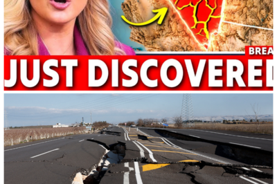 Government Analysts Calling EMERGENCY Meetings After Mysterious Cracks Split Open Nevada Desert
