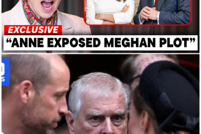 Princess Anne’s Shocking Bombshell: The Secret Meghan-Andrews Pact That Threatens to Topple the Monarchy