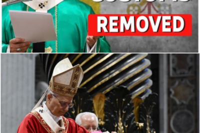 Pope Leo XIV’s Stunning Decree: 7 Catholic Traditions That May Vanish Forever