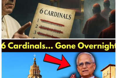 Pope Leo XIV’s Shocking Move: 6 Cardinals Dismissed Without Explanation – What’s Really Happening? 😱⚖️ In a bold and controversial decision, Pope Leo XIV has dismissed 6 cardinals from their positions without offering any explanation, leaving the Church and the world in stunned silence. Why would the Pope take such drastic action against high-ranking clergy members, and what does this mean for the future of the Vatican? The mysterious dismissals have sparked rumors, intrigue, and a growing sense of uncertainty within the Catholic Church. The truth behind this decision may be more explosive than we think. 👇