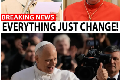 Pope Leo’s Private Meeting with the Most DANGEROUS Cardinal – What Followed SHOCKED the Vatican!