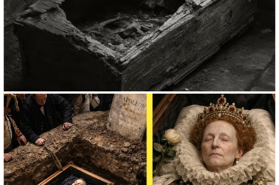 👑 the greatest discoveries from opened royal coffins reveal crowns crushed by time, jewels clutched like confessions, and secrets embalmed with power as lids lift and history exhales its darkest breath ⚰️💎 the narrator purrs that this isn’t archaeology, it’s trespass into privilege where every bone argues with the official story and every artifact dares the living to look closer 👇